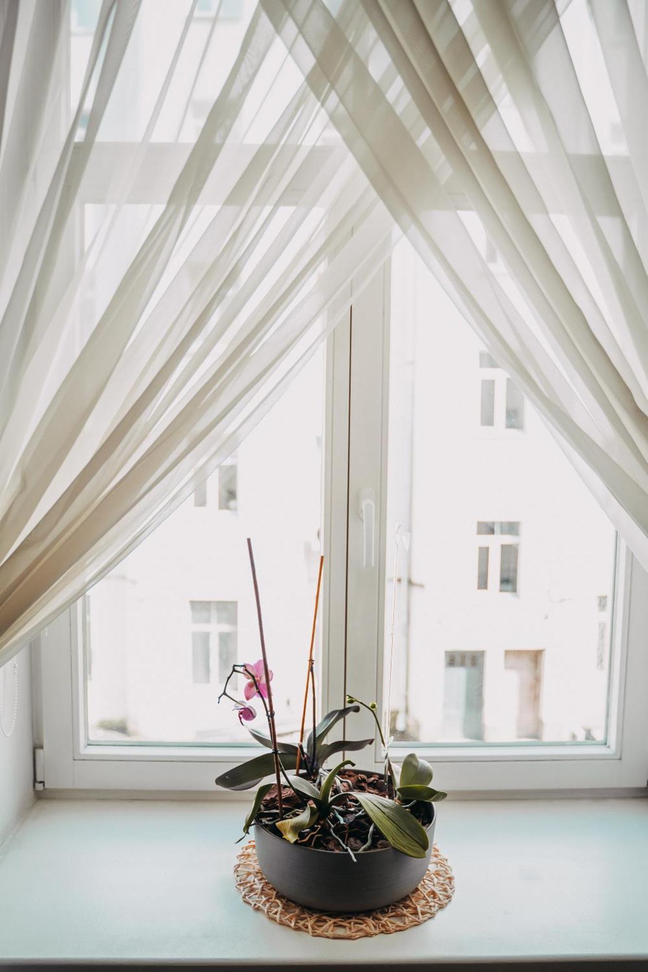 Family Apartment In Riga Center And Free Parking Exterior foto